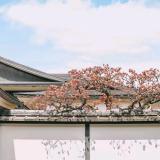 北京用户19xxxx3792