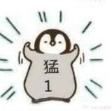 八卦小姐来了
