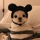 E.a