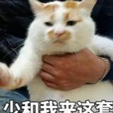 久违