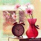 杨楠