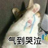 薄♧禾绿