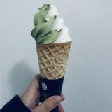 只爱小奶狗
