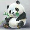 事已过半