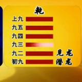 书友22120