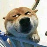 夜色更美哟