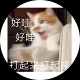智者不入爱河 冤种重蹈覆辙