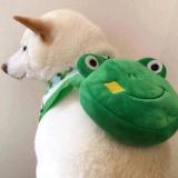 若尘