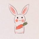 WENSIYI