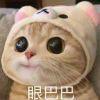 不见---在见