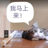 舒和