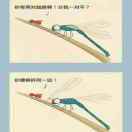 书友85933