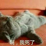 诸阿姨_看电影
