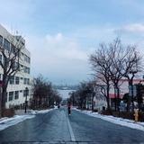 杨琼琼?