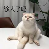 阔落我的续命水