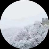 折枝