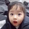 书友40509