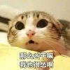 书友97911