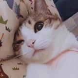 耳朵东边有口井