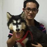椒盐鱼骨