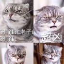 黑白郎君