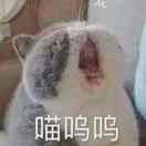 别看了想不出来