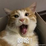 甲乙丙