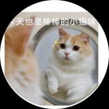 书友13174