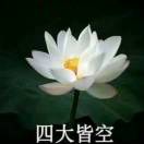 我是一只没有感情的皮卡丘