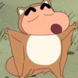 九周