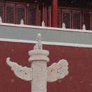 插翅难飞的核桃