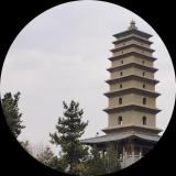 孤鹜齐飞