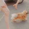 夏滚滚