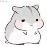小仓仓