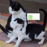 书友60864