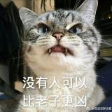 书友96849