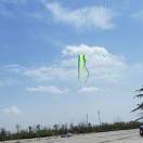 常与同好争高下