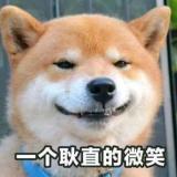 酷派小草重