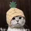 飞尘踏骨折