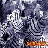 焦糖三文鱼寿司