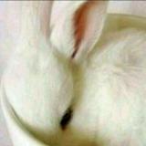灭黑