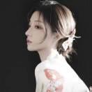 书友68754