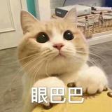 过气的gogo°