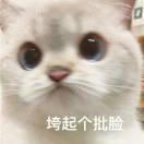 书友52837