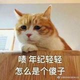 吃瓜群众面码