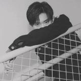 书友10207
