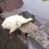 许其一世