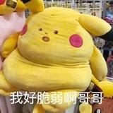 派大星的派