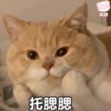 书友67136