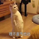 任我行